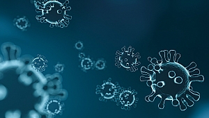 Haftalık koronavirüs tablosunu açıklandı… Vaka sayıları artıyor!