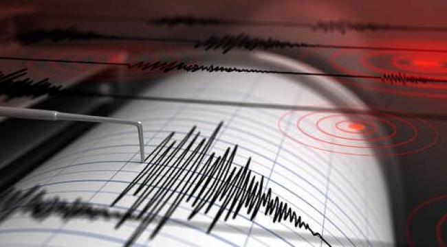 Muğla'da 4.8'lik deprem