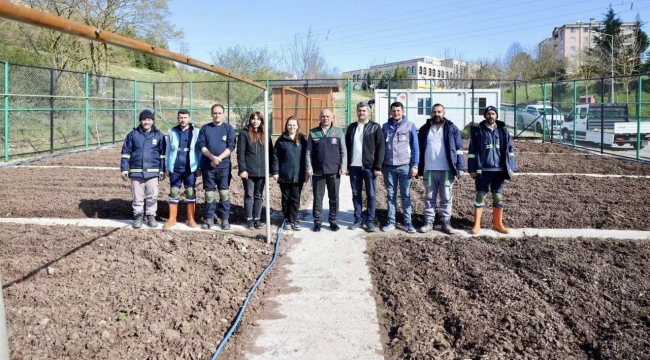 Körfez'de üretilecek. Ücretsiz dağıtılacak!
